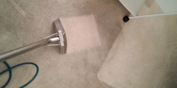 Carpet cleaning in progress by Steam It! Cleaning Services